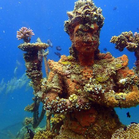 Biorock Homestay & Dive Center Pemuteran Exterior foto